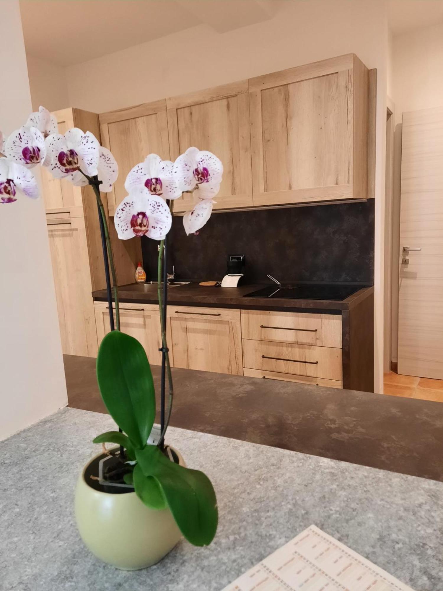 Le Coccinelle Home Mandello del Lario Buitenkant foto